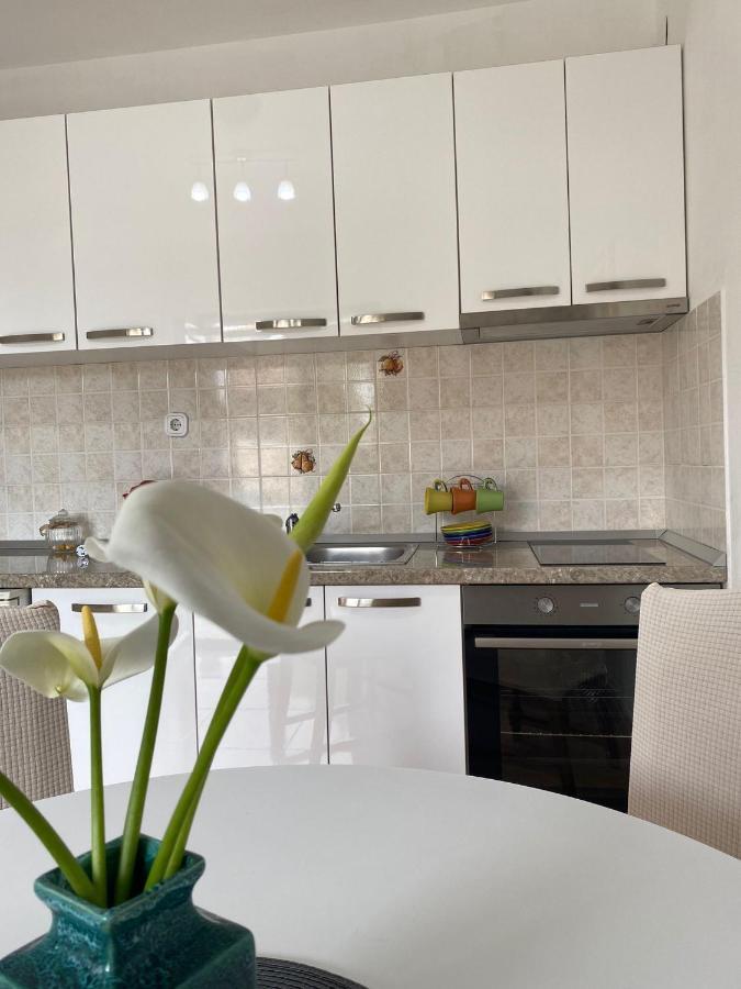 Studio Apartment Novak Čilipi Eksteriør billede