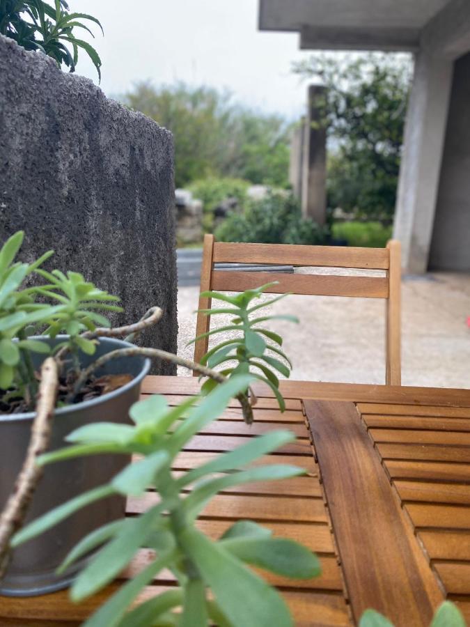 Studio Apartment Novak Čilipi Eksteriør billede